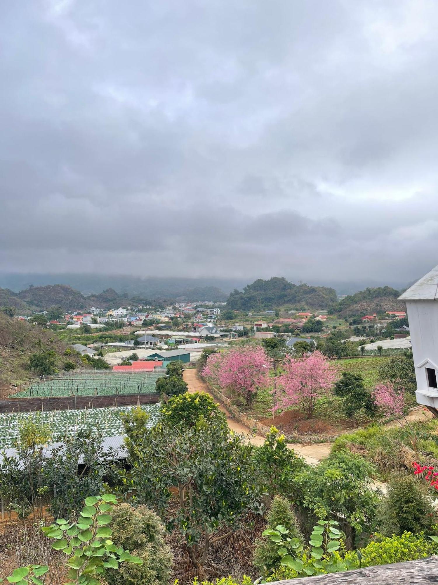 Doi Thong Homestay Moc Chau - By Bay Luxury Son La Luaran gambar